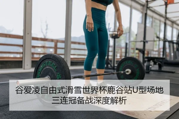 gu-ai-ling-zi-you-shi-hua-xue-shi-jie-bei-lu-gu-zhan-xing-chang-di-san-lian-guan-bei-zhan-shen-du-jie-xi-2-797.jpg